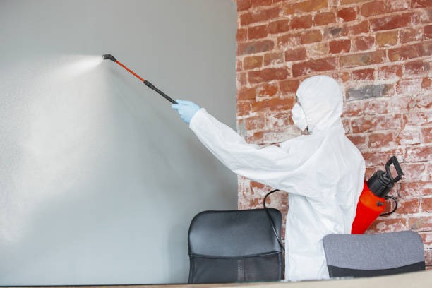 Best Post-Remediation Verification Testing  in Weston Mills, NY