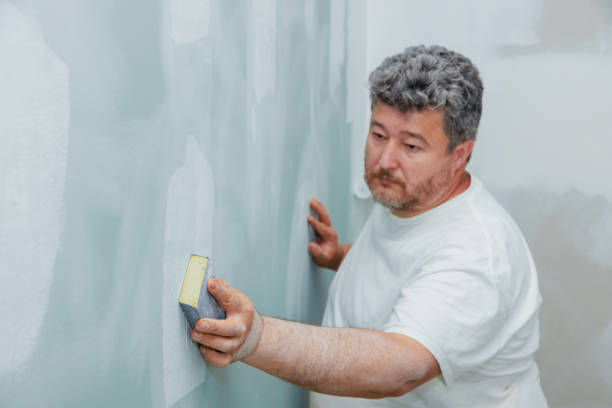 Trusted Weston Mills, NY Mold Removal Experts