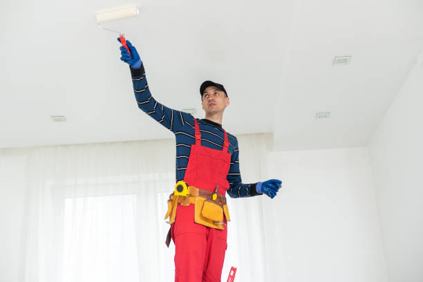 Mold Documentation for Insurance Claims in Weston Mills, NY