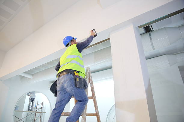 Best Mold Remediation for Rental Properties  in Weston Mills, NY