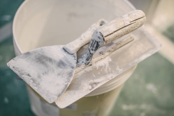 Best Attic Mold Removal  in Weston Mills, NY
