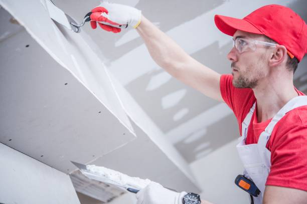 Best Environmental Consulting for Mold Prevention  in Weston Mills, NY